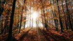 Prognoza pe 4 săptămâni. ANM anunță cum va fi vremea până pe 21 septembrie