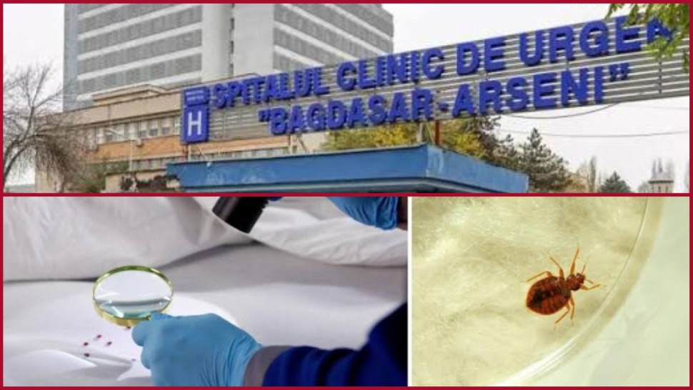 Spitalul Bagdasar Arseni invadat de ploșnițe Secţia de recuperare neurologică închisă aproape o lună pentru dezinsecție