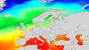 Temperaturi record ale apelor marine din Europa din cauza schimbărilor climatice Limitele biologice absolute de adaptare aproape atinse