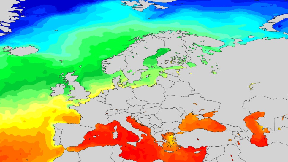 Temperaturi record ale apelor marine din Europa din cauza schimbărilor climatice Limitele biologice absolute de adaptare aproape atinse