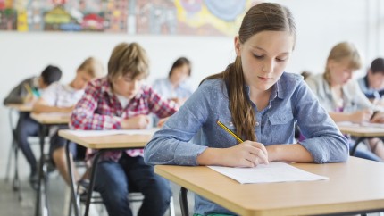 Burse elevi în anul școlar 2026 - 2027. Ministrul Educației anunță ce se va aproba în Guvern