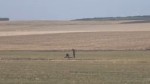 O nouă dronă prăbușită pe un câmp din județul Vaslui. Zona izolată și verificată de un echipaj pirotehnic al SRI | Video