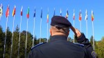 Exercițiu internațional cu peste 500 de militari și jandarmi în România | Video