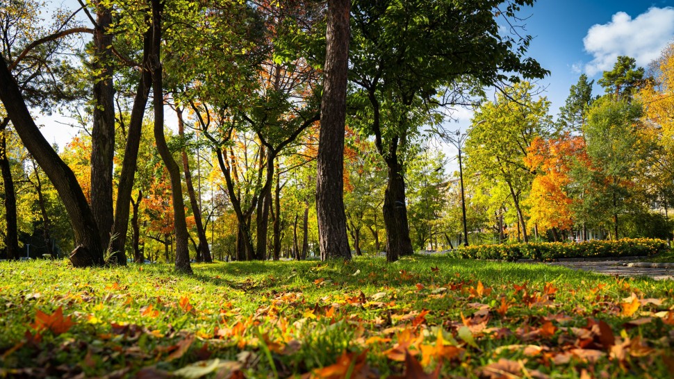 Prognoza meteo 14 septembrie. Vreme de toamnă în toată țara. ANM anunță unde va fi mai cald
