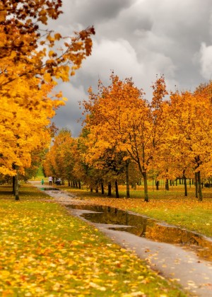 Prognoza meteo miercuri 23 septembrie. Lapoviță și ninsoare în tot mai multe regiuni