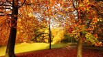 Prognoza meteo 29 septembrie. ANM anunță zonele cu temperaturi de peste 26 de grade Celsius
