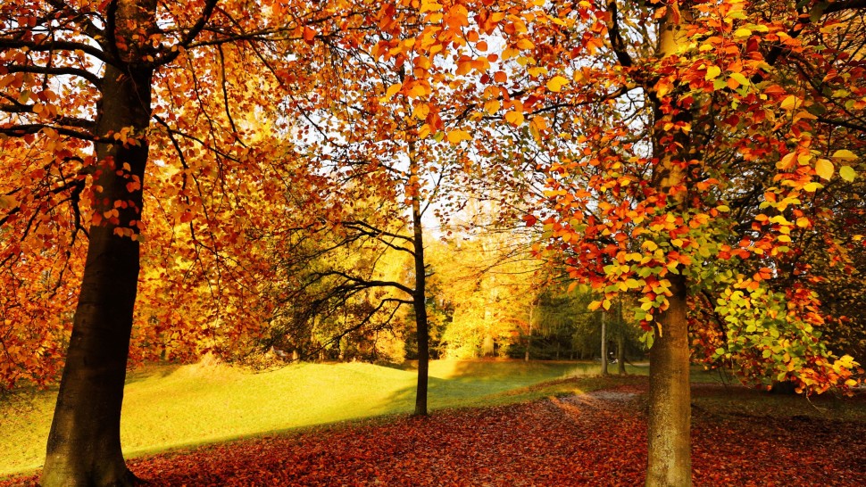 Prognoza meteo 29 septembrie. ANM anunță zonele cu temperaturi de peste 26 de grade Celsius