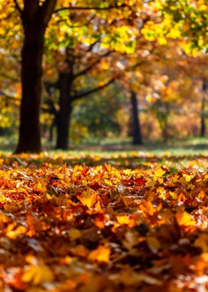 Prognoza pentru următoarele 4 săptămâni. ANM anunță unde vor fi temperaturi de vară chiar și în octombrie
