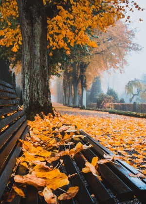 ANM anunță cum va fi vremea în luna octombrie. Prognoza meteo pentru următoarele 4 săptămâni