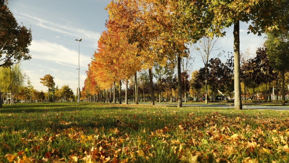 Prognoza meteo 28 septembrie. Vreme de vară în câteva regiuni. ANM anunță unde plouă la începutul săptămânii