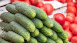 Un fermier din România oferă gratis castraveți pentru toți românii. Impune o singură condiție