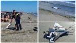 Stare de alertă pe litoral. O dronă a fost găsită pe plaja din Corbu. Fragmentele nu aveau încărcătură explozivă