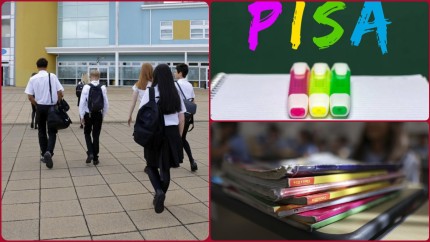 Primele reacții după rezultatele PISA 2025. Daniel David Analfabetismul funcțional este risc de securitate națională. Anunțul ministrului Educației