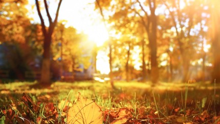 Prognoza meteo ANM până la început de octombrie. Temperaturi peste cele normale precipitații deficitare până la finalul lunii