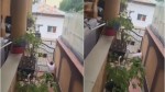 Focuri de armă lângă locuința premierului Luca Niculescu. Poliția Capitalei a intervenit de urgență