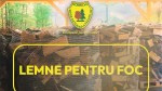 Două milioane de metri cubi de lemn pentru foc în 2026 puse la dispoziție de Romsilva pentru populație. Cât costă