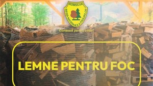 Două milioane de metri cubi de lemn pentru foc în 2026 puse la dispoziție de Romsilva pentru populație. Cât costă