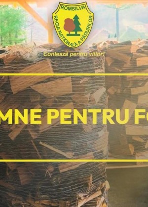 Două milioane de metri cubi de lemn pentru foc în 2026 puse la dispoziție de Romsilva pentru populație. Cât costă