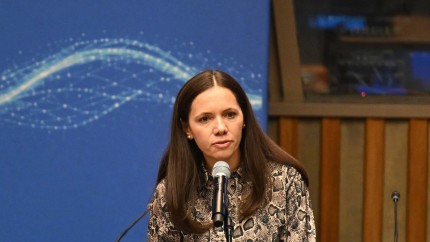 Mirabela Grădinaru despre provocarea următorilor ani pentru România Să transformăm energia creativă într-un avantaj strategic