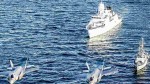 Dosar de evaziune fiscală înşelăciune şi spălare a banilor în servicii de asistenţă portuară pentru nave NATO. S-au făcut percheziţii în judeţul Constanţa