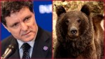 Nicușor Dan a promulgat legea privind urșii din România Permite dublarea numărului de animale recoltate și intervenția imediată a autorităților