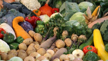 Fructe și legume de toamnă medicamente pentru organism. Cele mai bune surse de substanțe nutritive
