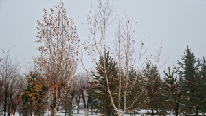 Prognoza meteo 30 octombrie. Ninsorile cuprind țara. ANM anunță unde lovesc ploile și gerul