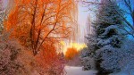 Surprize din partea meteorologilor. ANM anunță prognoza până pe 16 noiembrie. Se schimbă complet vremea