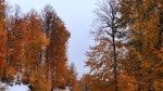 Prognoza meteo 19 octombrie. Săptămâna începe cu ploi ninsori și vânt puternic în mai multe regiuni din România