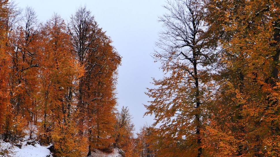 Prognoza meteo 19 octombrie. Săptămâna începe cu ploi ninsori și vânt puternic în mai multe regiuni din România