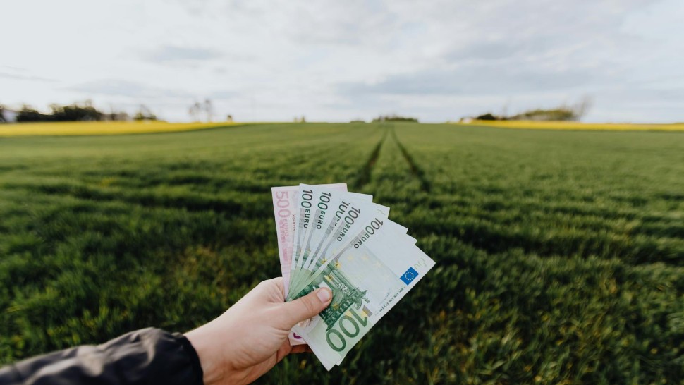 Începe plata subvenţiilor pentru agricultori. Cuantumurile pe baza cărora se va calcula avansul