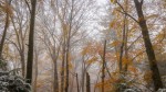 Prognoza meteo 13 octombrie. Continuă răcirea vremii. ANM anunță ploi și ninsori