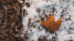 Prognoza meteo 15 octombrie. Vreme de iarnă în plin sezon de toamnă. ANM anunță unde va ninge abundent