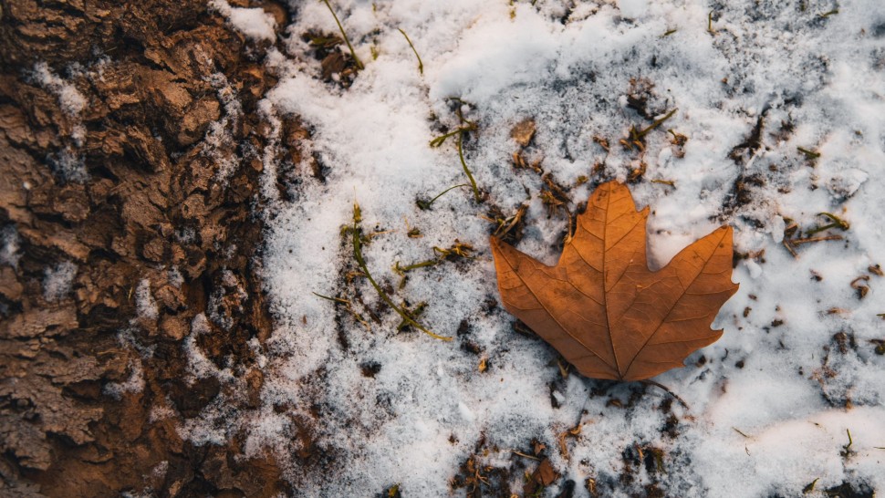 Prognoza meteo 15 octombrie. Vreme de iarnă în plin sezon de toamnă. ANM anunță unde va ninge abundent