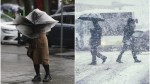 Alertă meteo ANM cod galben de ploi în cinci județe de sâmbătă dimineața. Ninsori în zona Carpaţilor Meridionali | Hartă