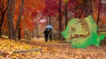 Prognoza meteo ANM până la final de octombrie. Meteorologii anunță temperaturi peste cele obișnuite