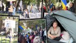 Amenzi de aproape 38.000 de lei pentru susținătorii lui Călin Georgescu. Scandal cu jandarmii la Arestul Central